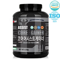 비케이뉴트리션 코어-A 게이너 ISP 2통/단백질 보충제 아미노믹스 비타민미네랄