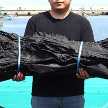 기장 해풍 다시마 500g, 1개, 500g(1개)