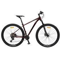 [휠러코리아] PROBIG 300 SLX+XT 22단 29인치 알로이 MTB 자전거 2022, 15.5인치, RED