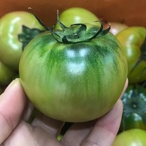 대저 강동 토마토 2.5kg, 1박스, 2.5kg 2L-M (2-4번)
