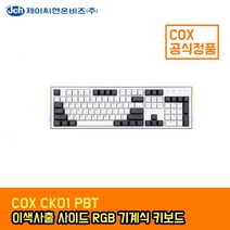COX CK01 PBT 이색사출 사이드 RGB 기계식 키보드, 청축