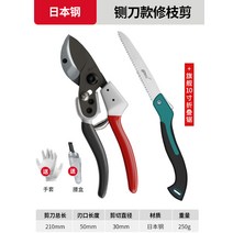 꽃 사과 특수 수확 징크 꽃꽂이 킹 농작 마늘쫑 고추 정원, 일본 스틸 작두형 가지치기 가위 + 플래그십 10 접이