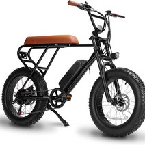 배달용전기자전거 팻바이크 접이식 산악 v ah w 인치 ebike 단 인치 지방 v, 48v 10ah 500w, 6단 속도, 20인치 x 4인치