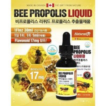 네추럴라이즈 비프로폴리스 리퀴드, 1개, 30ml(1개월), 30ml