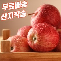 경북 햇사과 꿀부사 가정용 못난이 선물용 작은사과 꼬마 소과 대과 정품 미니 주스용 5kg 10kg
