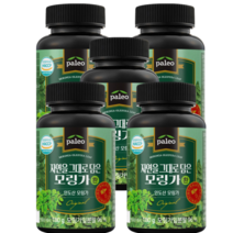 팔레오 인도산 모링가 환 모린가 잎 씨앗 열매 분말 180g 5통