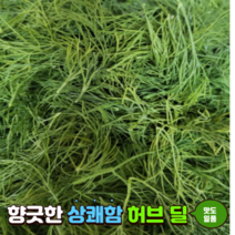 허브 딜 레몬딜버터 재료 Dill 100g 딜허브 생잎 herb 향신료 데코 재료, 1개