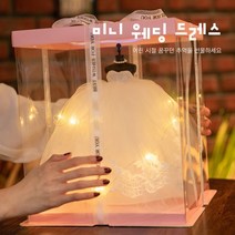 여자친구 결혼 프로포즈 용품 미니 웨딩 드레스 인형 장식 선물, 핑크