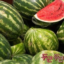 특등급 가락청과네 수박 9kg 제철과일 과일종류 수박가격 수박화채 농산물도매시장 중복 당뇨에좋은과일, 1개, 상세페이지 참조