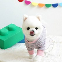 새임 스트라이프 티셔츠 2XL 불독옷 강아지봄옷 시바견옷, 화이트