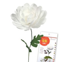 종이꽃 만들기 접기 페이퍼플라워 국화꽃 접기 종이공예 DIY키트, 단품, 색상:공통|사이즈:공통|스타일:공통|사은품/추가구성:공통