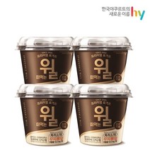 [에치와이] 3000억 유산균 떠먹는 윌 오리지널 450g x 4개
