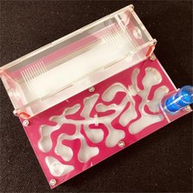 집 개미 테라리움 키우기 만들기 자연관찰 곤충채 150mm x 테스트 튜브 습기 큰 공간 개미 둥지 농장 아크, 08 pink