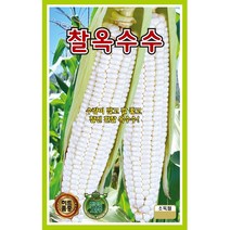 씨앗 찰옥수수 50립, 1개