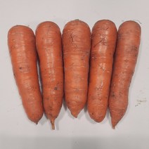 국내산 햇흙당근 3kg 5kg 10kg, 흙당근5kg(상품)