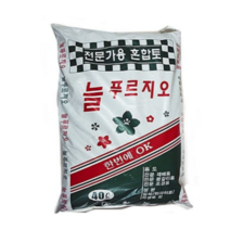 40L 해피트리 몬스테라 인도고무나무 녹보수 분갈이