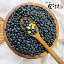 힘찬농부오달봉 2022년 햇 국산 약콩 청약콩 쥐눈이콩 청서목태, 1개, 4kg(2kg+2kg)