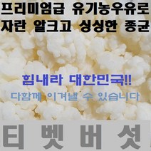 티벳버섯 케피어그레인, 1개, 삼십그람30g(대용량)