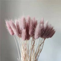 100 개/35cm 천연 토끼 꼬리 말린 꽃 리얼 터치 미니 팜파스 뭉치 웨딩 홈 장식 배열 촬영 소품, [19] milk tea