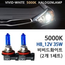 5000K 비비드화이트 현대 그랜져 자동차램프 전조등 상향등 하향등 안개등, 5000K 더럭셔리 그랜져TG 안개등 H8(2개1세트), 1세트, H8