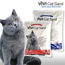 [모찌네모래] 모찌네 비비 VIVI 캣샌드 사과향 4L X 6개 18.6kg