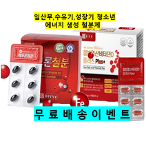 종근당 철분 엽산 비타민D 여성 임산부 아기 출산후 청소년 남성 빈혈 철분제, 헤모론철분2개월분