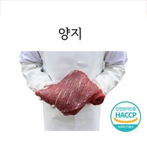 한우 양지 1kg 로스트용 구이 탕/국 캠핑요리추천, 1등급이상 한우양지1kg덩어리