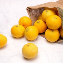 고당도 제주 서귀포 가정용 황금향, 가정용 4.5kg(30과내외), 1개