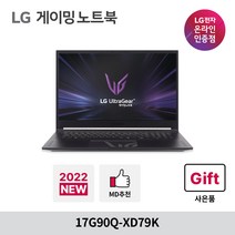 LG전자 울트라기어 게이밍노트북 17G90Q-XD79K, WIN11 Home, 블랙, 512GB, 코어i7, 32GB