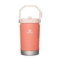 Stanley 스탠리 스테인리스 스틸 물병빨대 가정 사무실용 진공 단열 물병, 20온스, 크림