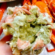 100% 선주직송 프리미엄 박달홍게 강원도 속초 홍게 자숙홍게 저도 어장 발송, 7kg(16~24마리), 1개