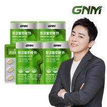 GNM 징코빌로바11 4박스 / 은행잎추출물 비타민B 아연 판토텐산, 1) 징코빌로바11 4개월분