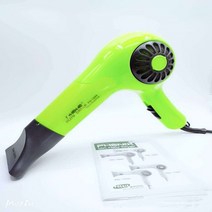 미용실드라이기 헤어 전문가용 PHENIX1650 울트라 조용한 드라이어 음이온 살롱 스테레오 가정용, [02] EU, [01] green