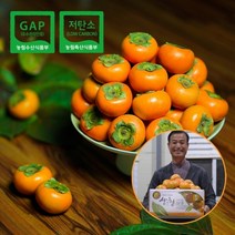 지리산 단감 5kg 23과(특대과) _ 청감농원