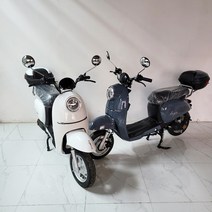 클래식 전동스쿠터 타이탄1200 60V 30A 800W, 30Ah(1회 충전 65km 주행가능), 데님블루