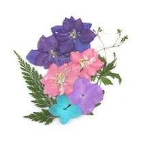 [압화꽃팩]들꽃향기공방/체험재료/JK319/누름꽃팩패키지, 1P