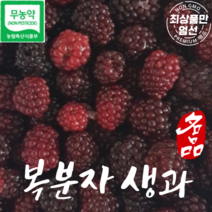 국산 무농약 생 슈퍼복분자 복분자생과 급냉복분자 1kg, 1개