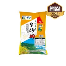 이쌀이다 [이쌀이다] 고성속초 오대미 4kg