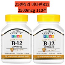 21센추리 B12 비타민 21세기센트리 시아노코발라민 2500mcg 만니톨 110정, 110정 2개