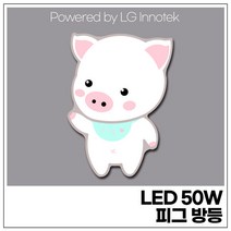(주)비스코엘이디조명 LED 50W 피그 방등 (LG 이노텍 칩 OSRAM 안정기 사용), 1개, 주광색