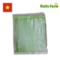[루츠팜] 베트남 생 바나나잎 1kg 베트남바나나잎