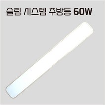 LED 주방등 60W 슬림 시스템 주방2등 (구 50W)