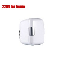 TEELINE 화장품냉장고미니 자동차 냉장고 휴대용 12V/220V 단일 도어 4 리터 용량 홈 화장품, [01] White for home 220V