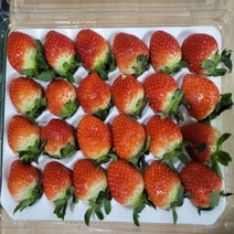논산 딸기 설향 프리미엄 딸기 생딸기 700g~800g, 생딸기(24~30구)
