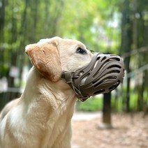 MPL 강아지입마개 진돗개 소형견 개 대형견입마개, 브라운, 4호