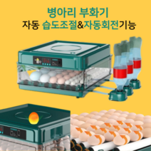 부화기 병아리 계란부화기 육추기 계란키우기 조류 자동 회전 습도유지 검란, 옵션C. 자동 부화기48란