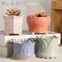 다육화분 다육이 심폴 화분 식물 미니 화분세트, 도자기, 옵션80