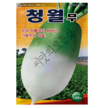 청월무 1000립 가을 김장무우 근피가 곱고 맛이좋은 가을무씨앗, 1개