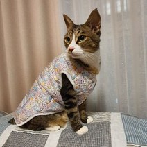 강아지옷 강아지티셔츠 반려견옷 애견 레트로 꽃무늬 패딩 할매 김장 조끼 목도리 셋트 별의별굿즈