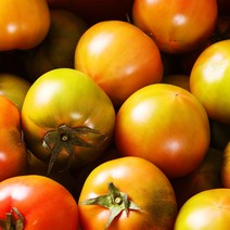 짭짤이 대저 토마토 프리미엄 로얄과 2.5kg 5kg, 2.5kg 1개, S(로얄과)